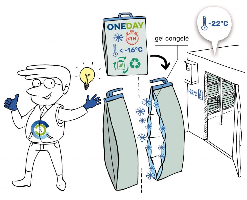 Oneday Fresh & Freeze Bag, Isothermal Bag with Integrated Gels